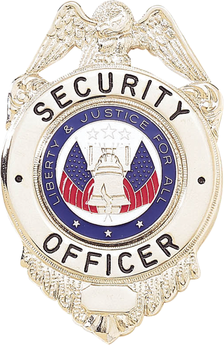 Security Enforcement Officer Mini Badge, Security Badge Pin